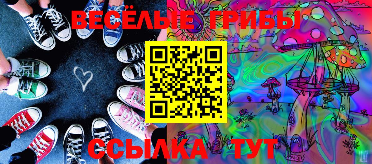 Галлюциногенные грибы мухоморы Губкинский